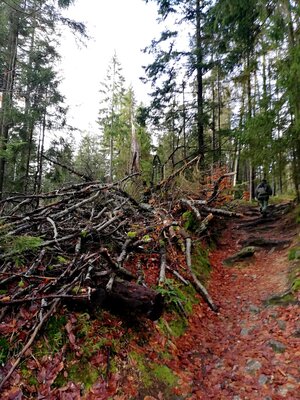 Foto des Albums: Jahresabschlusswanderung 2021