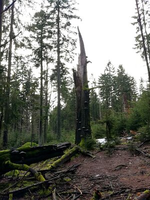 Foto des Albums: Jahresabschlusswanderung 2021