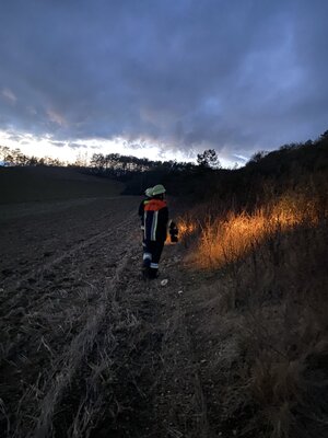 Foto des Albums: THL 1 - Personensuche