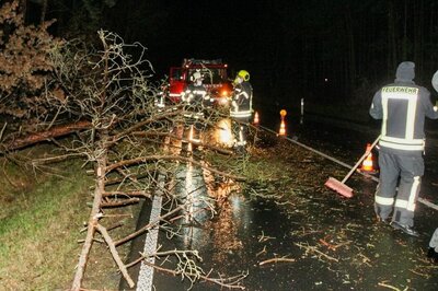 Foto des Albums: Einsatz 003/2022 - Baum