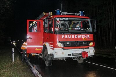 Foto des Albums: Einsatz 003/2022 - Baum