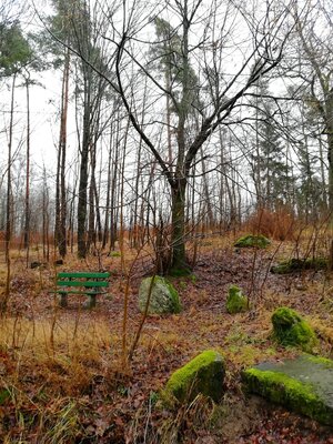 Foto des Albums: Rundwanderung um den Galgenberg bei Marktleuten
