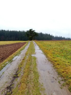 Foto des Albums: Rundwanderung um den Galgenberg bei Marktleuten