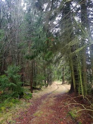 Foto des Albums: Rundwanderung um den Galgenberg bei Marktleuten