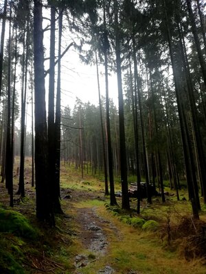 Foto des Albums: Rundwanderung um den Galgenberg bei Marktleuten