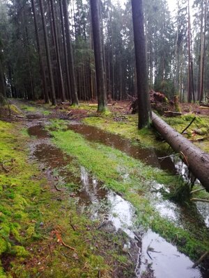 Foto des Albums: Rundwanderung um den Galgenberg bei Marktleuten