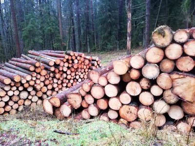Foto des Albums: Rundwanderung um den Galgenberg bei Marktleuten