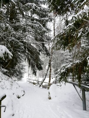 Foto des Albums: Rundwanderung Nageler See, Hans König Brunnen, unterer Ringberg, geheimer Fels, vorbei an Girgelhöhe