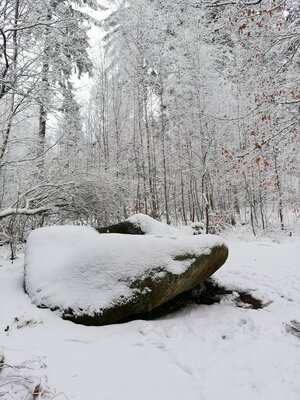 Foto des Albums: Rundwanderung Nageler See, Hans König Brunnen, unterer Ringberg, geheimer Fels, vorbei an Girgelhöhe