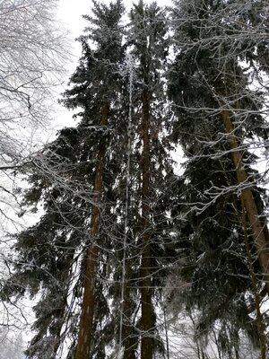 Foto des Albums: Rundwanderung Nageler See, Hans König Brunnen, unterer Ringberg, geheimer Fels, vorbei an Girgelhöhe