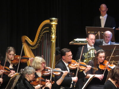 Foto des Albums: Branden-    burgisches Staatsorchester Frankfurt