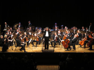 Foto des Albums: Branden-    burgisches Staatsorchester Frankfurt