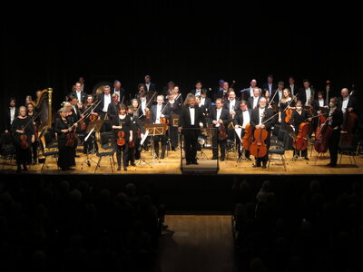Foto des Albums: Branden-    burgisches Staatsorchester Frankfurt
