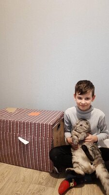 Foto des Albums: Weihnachtspäckchenaktion