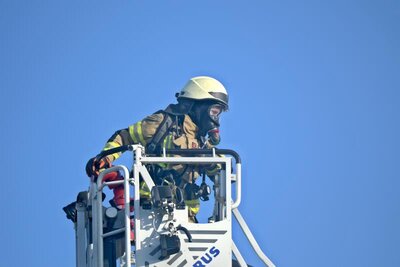 &copy; Ron Weimann  (Bild vergr&ouml;&szlig;ern)