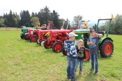 Foto des Albums: Weidfest