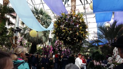 Foto des Albums: Bodenseetag Insel Mainau