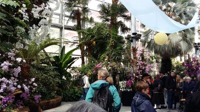 Foto des Albums: Bodenseetag Insel Mainau