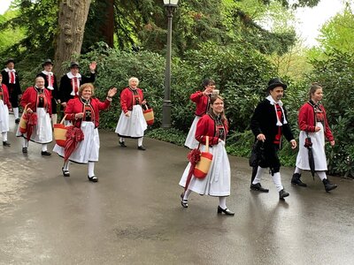 Foto des Albums: Bodenseetag Insel Mainau