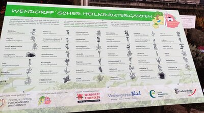 Foto des Albums: Heilkräuter im Wendorffschen Heilkräutergarten_Ludwigsfelde (14. 01. 2022)