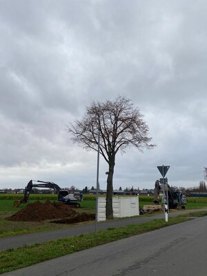 Baustelleneinrichtung am 05.01.2022  (Bild vergr&ouml;&szlig;ern)