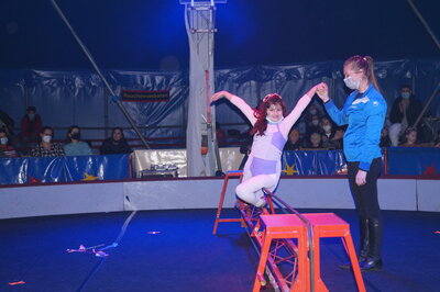 Foto des Albums: Zirkusprokt 2022