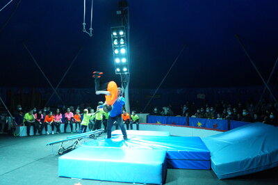 Foto des Albums: Zirkusprokt 2022
