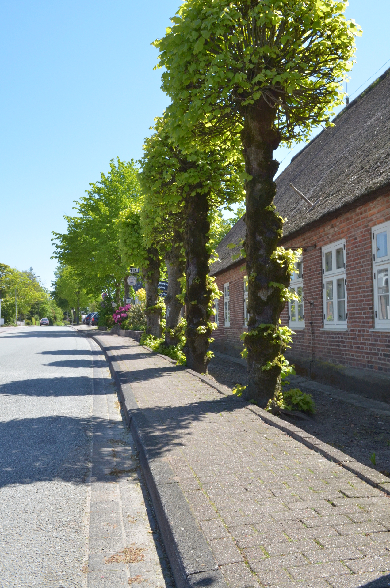 Bild  der Galerie