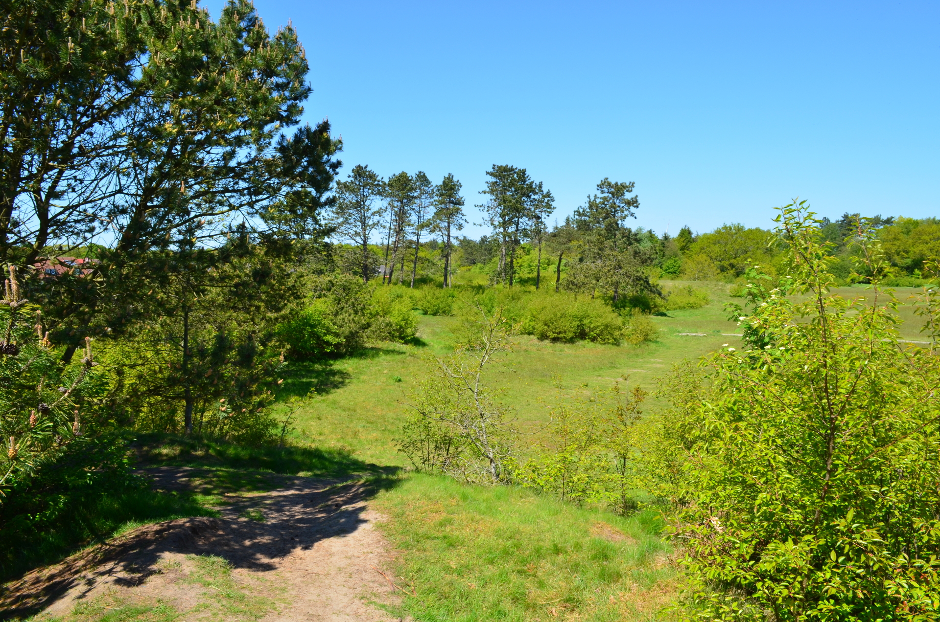 Bild : Naturerlebnisraum Posberg