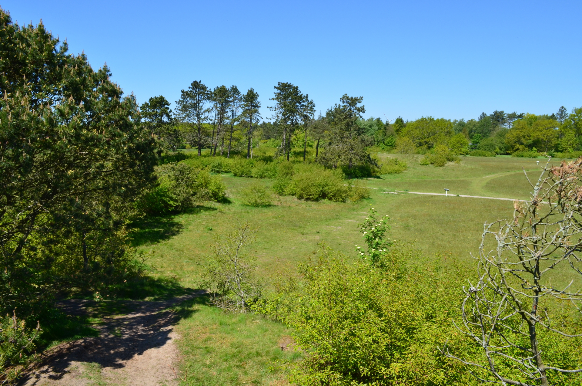 Bild : Naturerlebnisraum Posberg