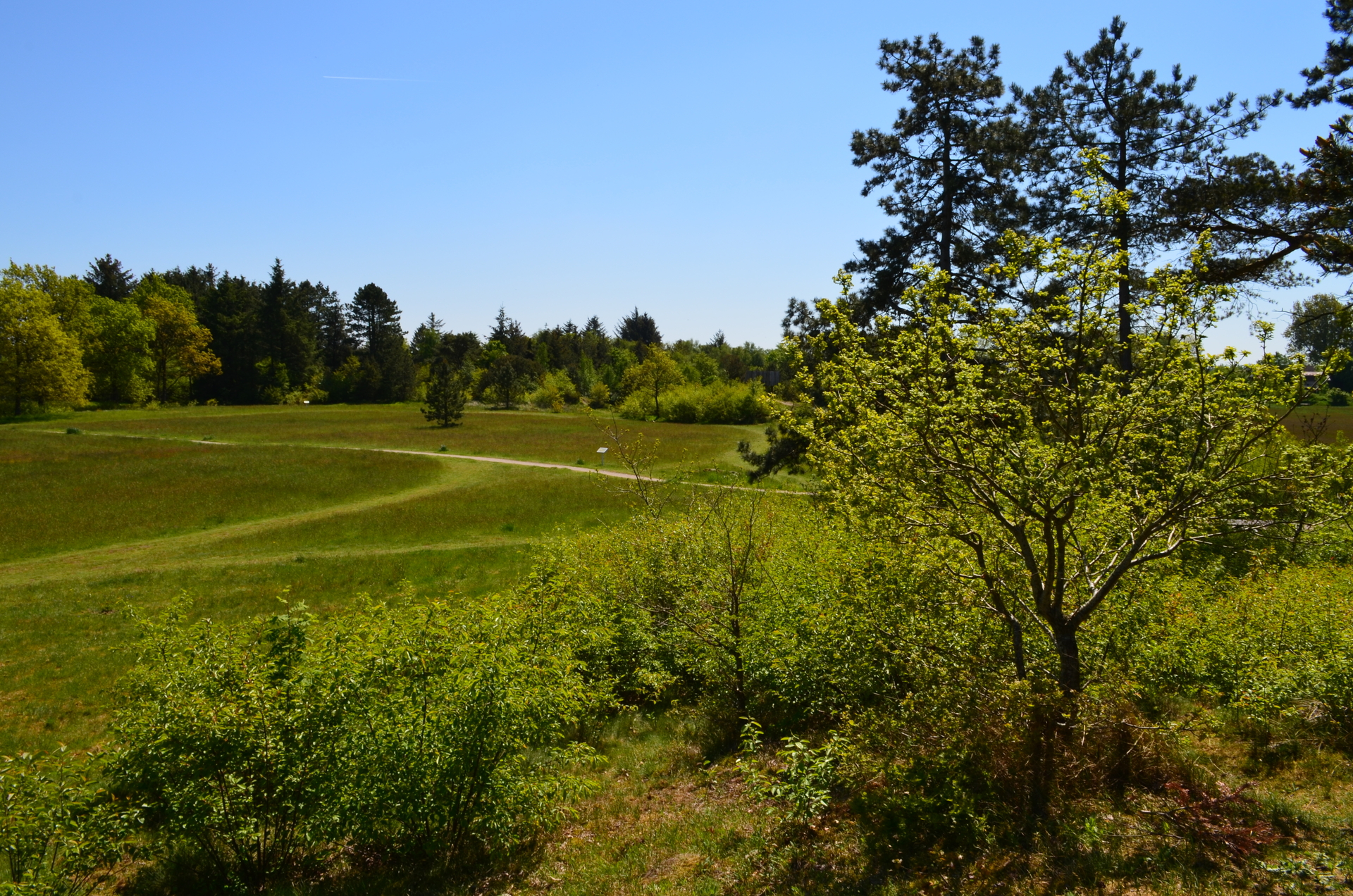 Bild : Naturerlebnisraum Posberg