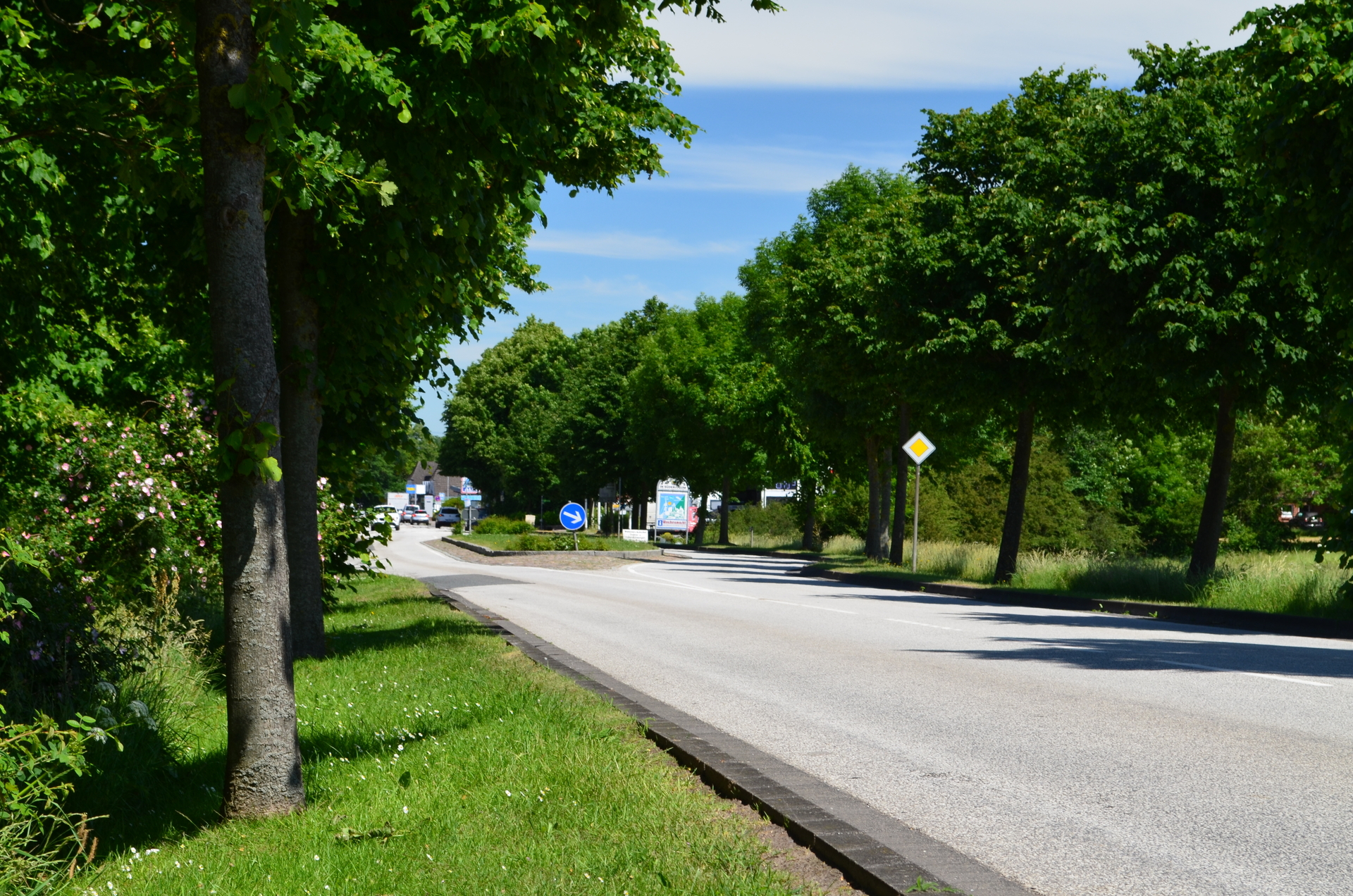 Bild : Südl. Ortseinfahrt