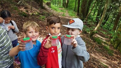 Foto des Albums: Naturparkmodul: Wald (Klasse 1a und 1b)