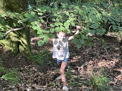 Foto des Albums: Naturparkmodul: Wald (Klasse 1a und 1b)
