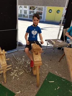 Foto des Albums: Naturparkmodul: Grünholzmobil (Klassen 3a und 3b)