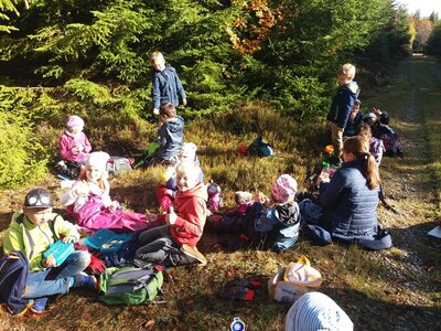 Foto des Albums: Naturparkmodul Auerhuhn