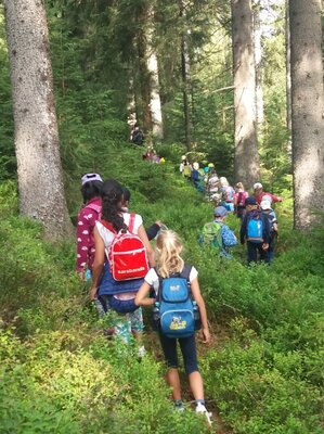 Foto des Albums: Heidelbeeren und Auerhahn – Naturparkmodul am Kaltenbronn