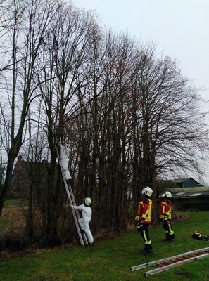 Foto des Albums: Einsatz: Tierbergung