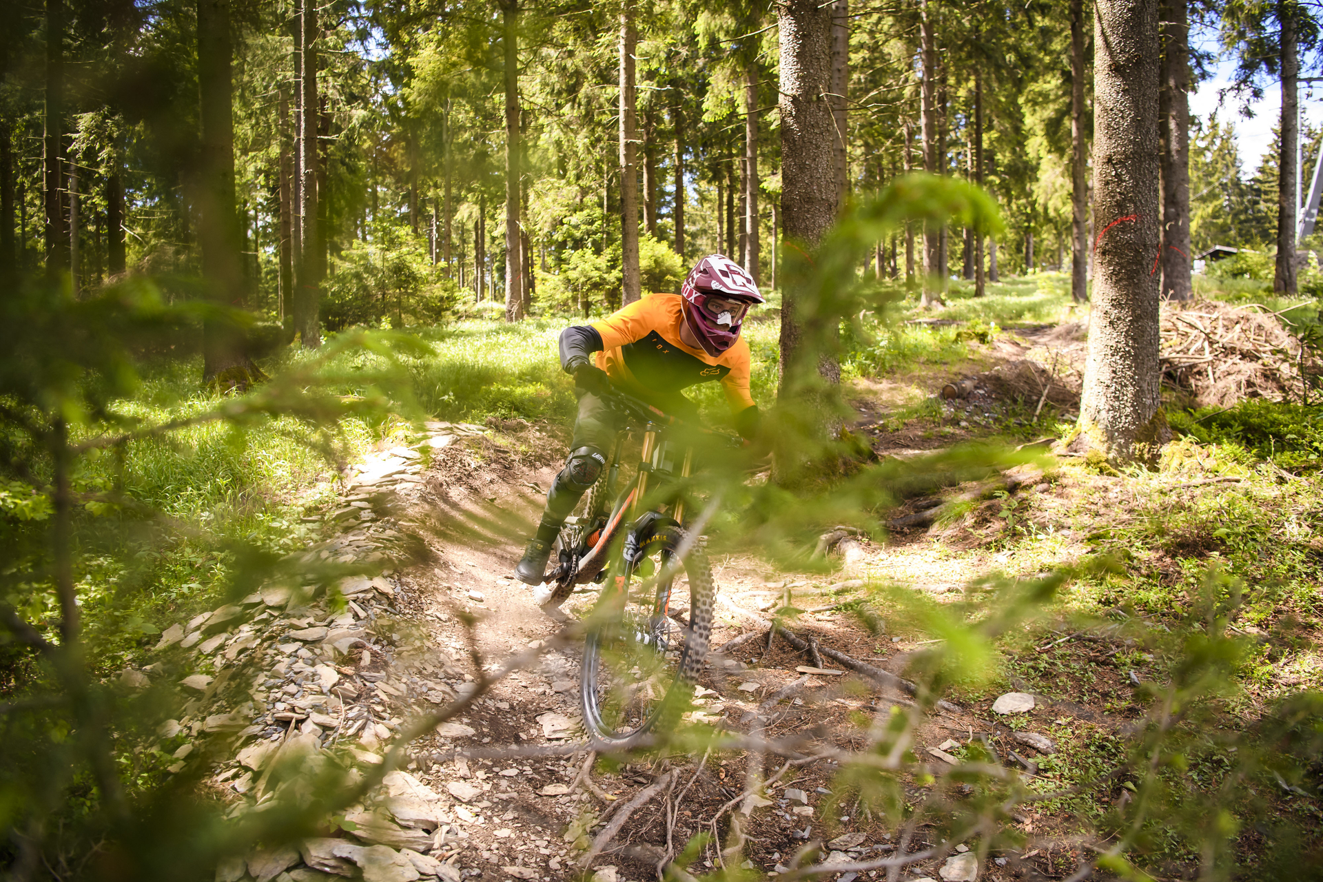 Bild der Galerie