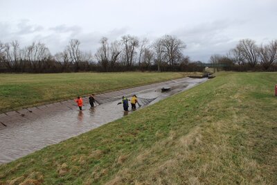 Berufsfischer Gernot Quaschny mit seinen Mitarbeitern beim durchziehen des Netzes 