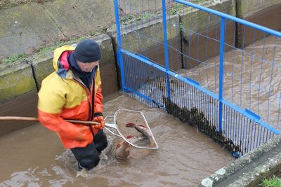 Fischer Quaschny mit vollem Kescher Hechte 