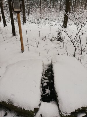 Foto des Albums: Winterschneeschuhrundwanderung bei Schönwald über Steinbruch, Sandgrube zum Pfarrhaus und Kleppermühle