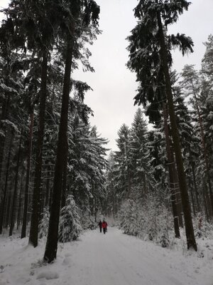 Foto des Albums: Winterschneeschuhrundwanderung bei Schönwald über Steinbruch, Sandgrube zum Pfarrhaus und Kleppermühle