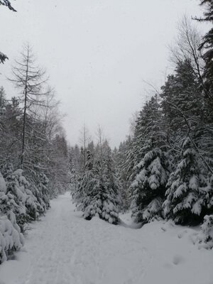 Foto des Albums: Winterschneeschuhrundwanderung bei Schönwald über Steinbruch, Sandgrube zum Pfarrhaus und Kleppermühle