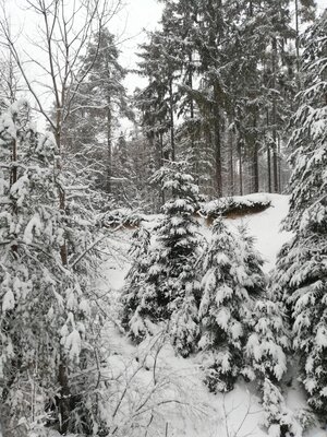 Foto des Albums: Winterschneeschuhrundwanderung bei Schönwald über Steinbruch, Sandgrube zum Pfarrhaus und Kleppermühle