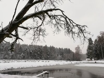 Foto des Albums: Winterschneeschuhrundwanderung bei Schönwald über Steinbruch, Sandgrube zum Pfarrhaus und Kleppermühle