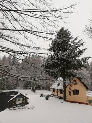 Foto des Albums: Winterschneeschuhrundwanderung bei Schönwald über Steinbruch, Sandgrube zum Pfarrhaus und Kleppermühle