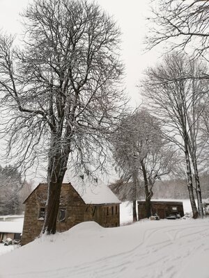 Foto des Albums: Winterschneeschuhrundwanderung bei Schönwald über Steinbruch, Sandgrube zum Pfarrhaus und Kleppermühle