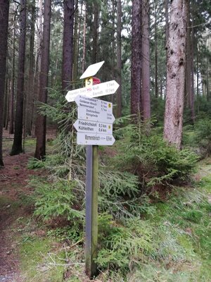 Foto des Albums: Rundwanderung bei Nemmersdorf um den Sauberg auf die Himmelsleiter