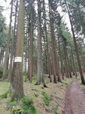 Foto des Albums: Rundwanderung bei Nemmersdorf um den Sauberg auf die Himmelsleiter